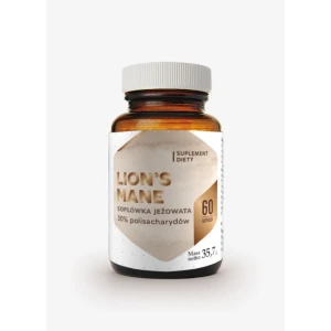 HEPATICA Lion's Mane (60 kapselia) – Viking Supplements
