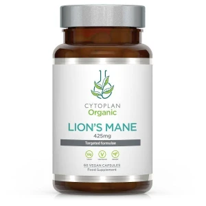 Lion's Mane – 60 vcaps – Viking Supplements