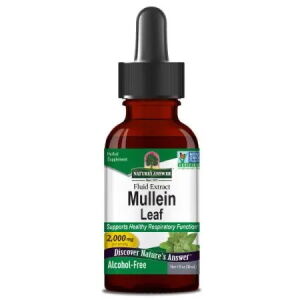 Mullein-lehti