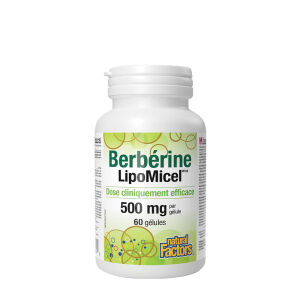 Natural Factors Berberine LipoMicel Matrix (60 pehmeää kapselia) – Viking Supplements