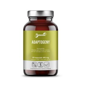 PANASEUS Adaptogeenit (50 kapselia) – Viking Supplements