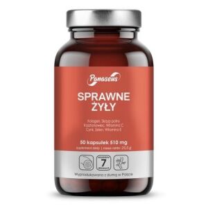 PANASEUS Efficient veins (50 kapselia) – Viking Supplements