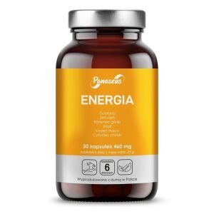 PANASEUS Energy (50 kapselia) – Viking Supplements