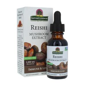 Reishi-sieni-uute