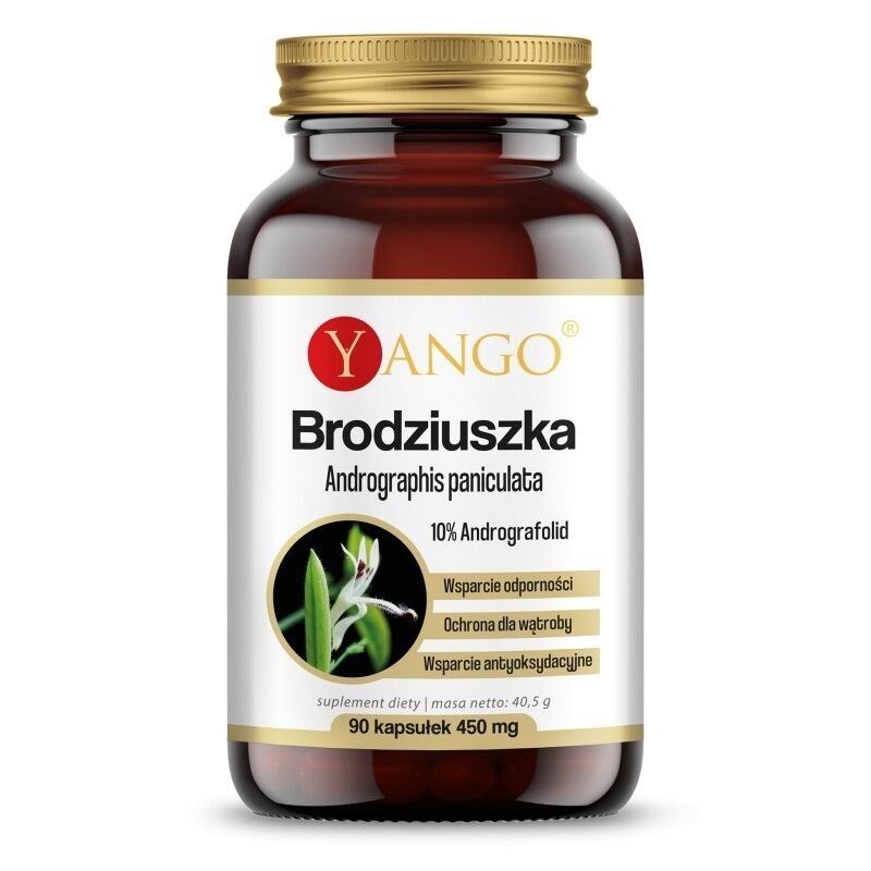 YANGO Andrographis paniculata (90 kapselia) – Viking Supplements