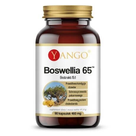 Yango - Boswellia 65 90 kapsler