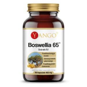 YANGO Boswellia 65 (90 caps) - Viking Supplements