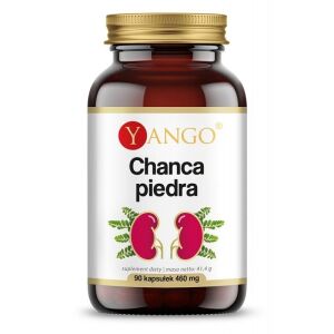 YANGO Chanca piedra (90 kapselia) – Viking Supplements