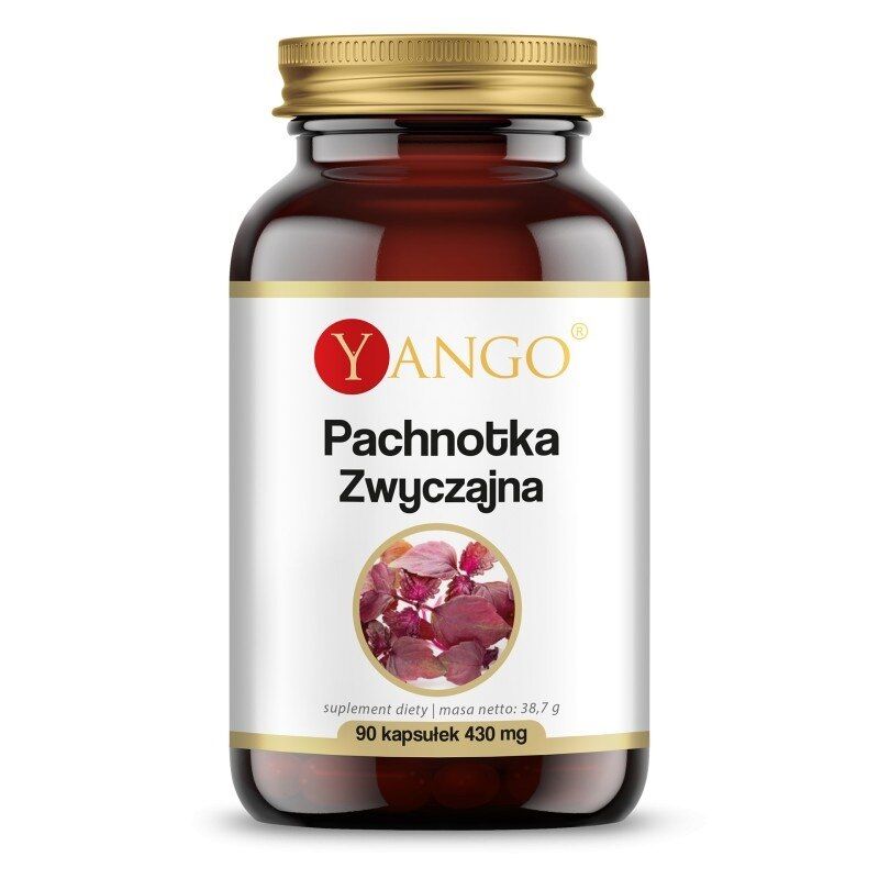 YANGO Perilla Frutescens (90 kapselia) – Viking Supplements